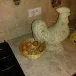 Aux 3 Loups Appartement *