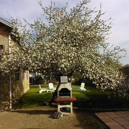 Apartment Aux 3 Loups Chatenois (Vosges)